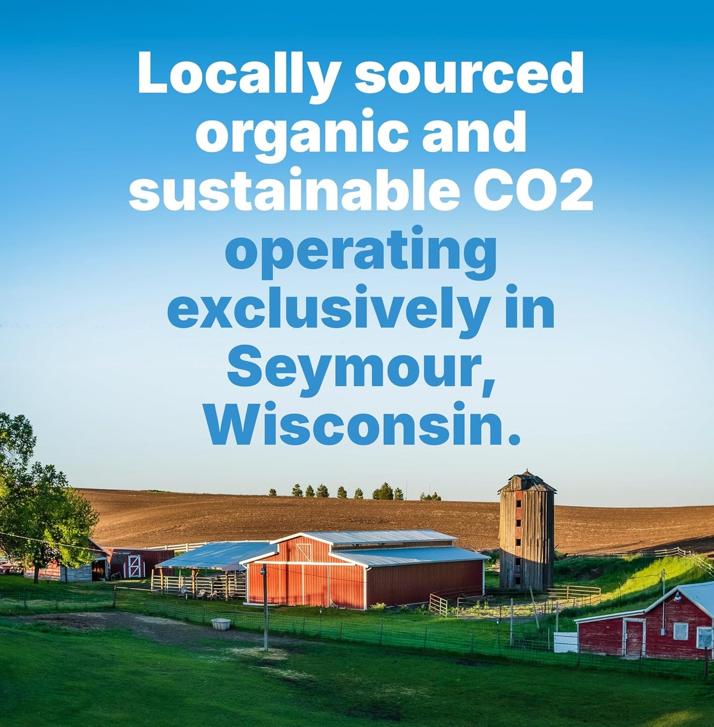 Soda Sense 60L CO2 Exchange Canister - 2 Pack, Threaded Style - Compatible with All 'Screw-In' Soda/Sparkling Water Makers, Including SodaStream BLUE Cylinder Models, Ninja Thirsti, Philips & More
