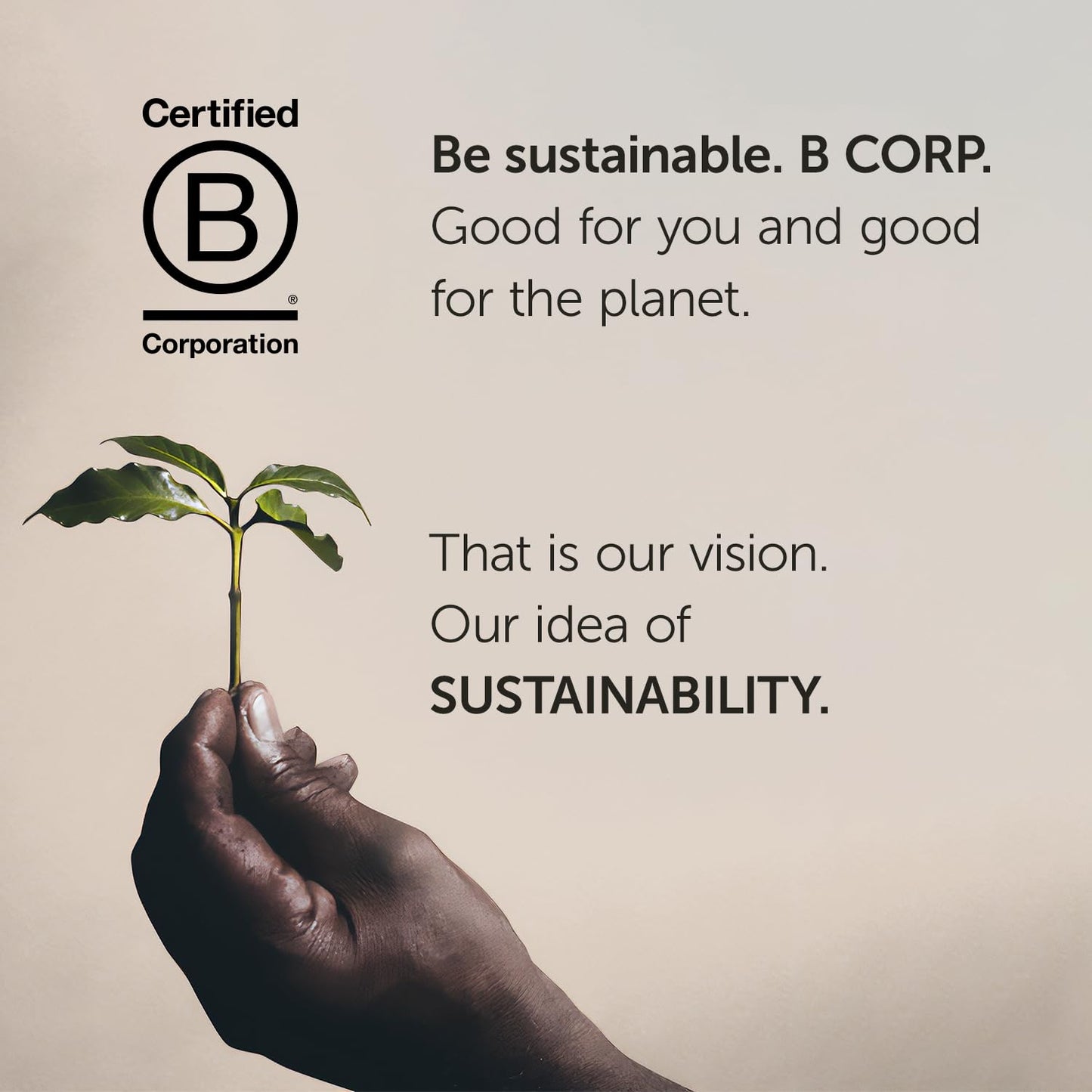 illy Whole Bean Coffee - Perfectly Roasted – Guatemala Dark Roast - with Notes of Chocolate – Complex & Balanced - 100% Arabica Beans - No Preservatives – 8.8 Ounce