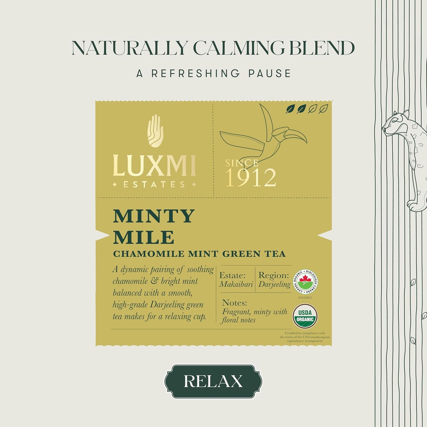 Luxmi Estates - Minty Mile - Organic Chamomile Mint Tea - Loose Leaf - 50g (25 Cups) | With Chamomile, Lemongrass, Spearmint and Peppermint | Low Caffeine Chamomile Tea | Best for Night Time